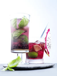 Brazilian Wild Blueberry